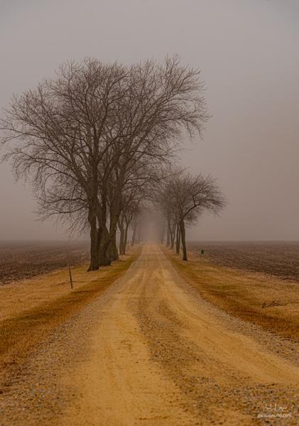 A rural driveway in Eastern Wisconsin.